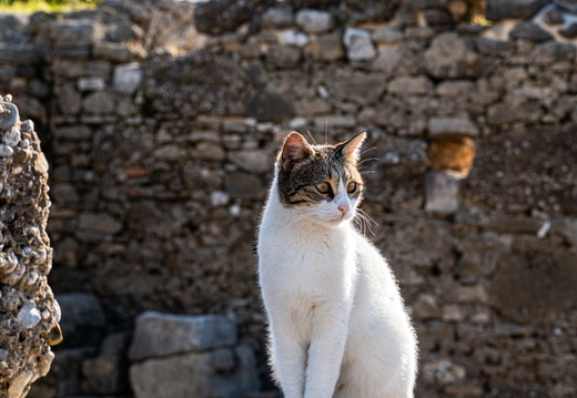 Antalya